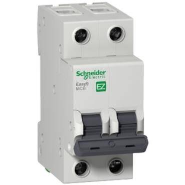 Schneider Electric EZ9F56210, 10 Amper, 2 Fazlı, C Tipi, Otomatik Sigorta, 6 kA, C10x2 - 1